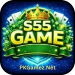 S55 Game