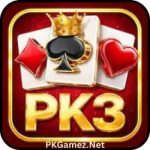 PK3 Game